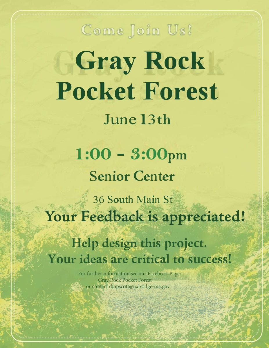 gray  rock