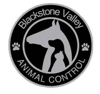BV Regional ACO Logo