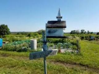 community gardens 