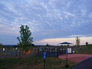 Dog Park