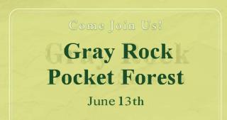 gray rock