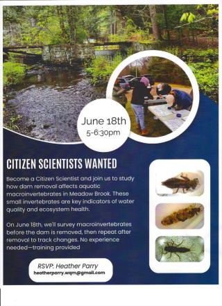 Citizen Scientist Flyer - June 18th