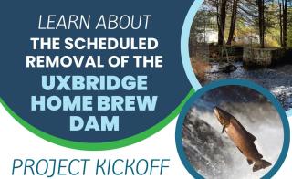 Home Brew Dam Removal Information Session 