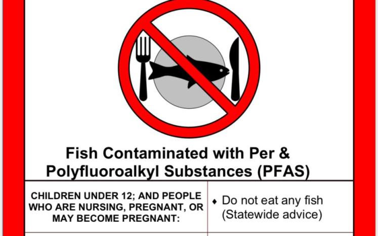 Fish consumption advisory blackstone river pfas
