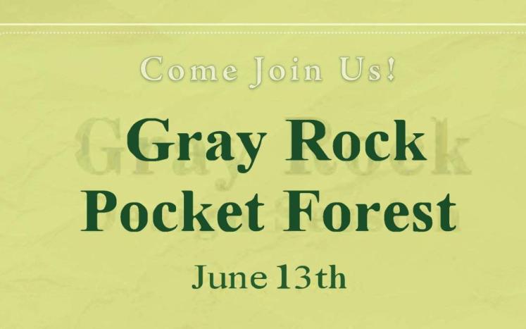 Gray Rock 